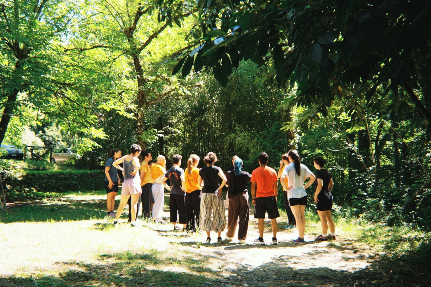 La scuola di kung fu Shaolin Firenze si allena nel bosco del Mulino Verde
